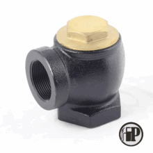 Fuel Dispenser Angle Check Valve with a threaded opening and brass cap on top, shown on a white background. The FP logo appears in the lower right corner.